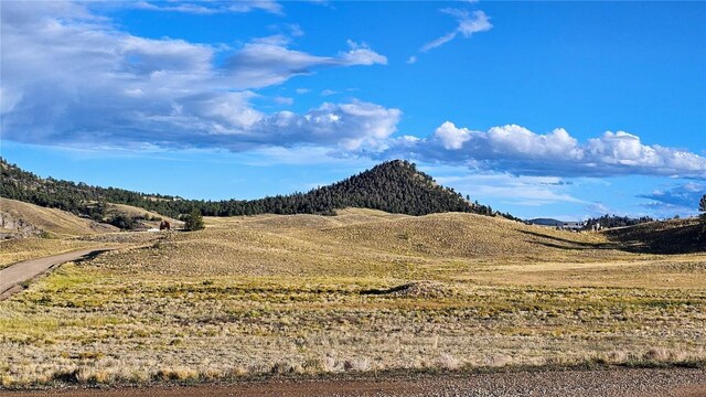 2667 Cahokia Rd, Hartsel, CO 80449 - photo 19