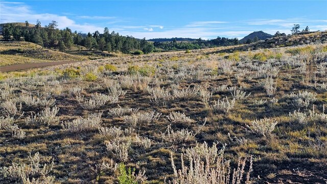 2667 Cahokia Rd, Hartsel, CO 80449 - photo 33