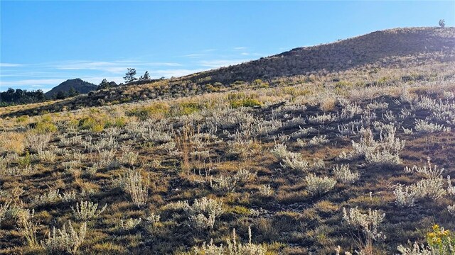 2667 Cahokia Rd, Hartsel, CO 80449 - photo 23
