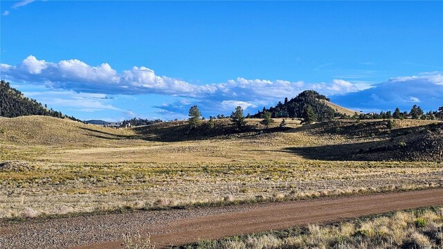 2667 Cahokia Rd, Hartsel, CO 80449 - photo 21