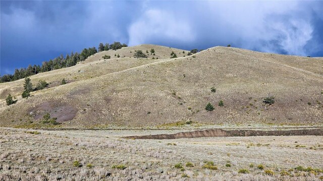 2667 Cahokia Rd, Hartsel, CO 80449 - photo 2