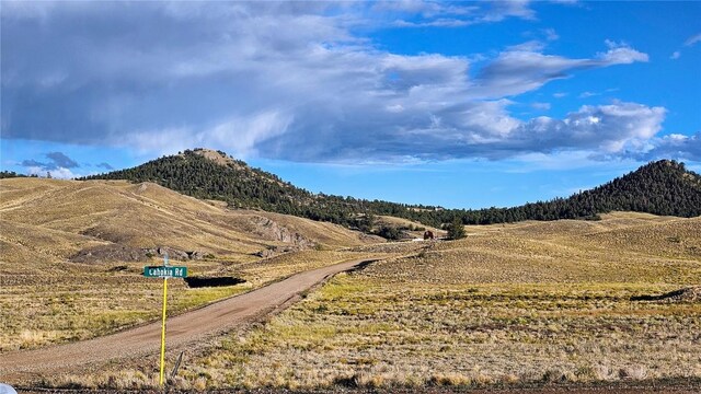 2667 Cahokia Rd, Hartsel, CO 80449 - photo 18