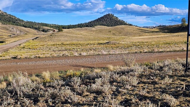 2667 Cahokia Rd, Hartsel, CO 80449 - photo 35