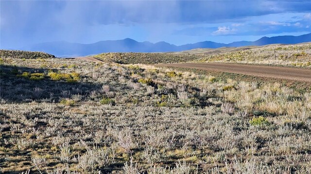 2667 Cahokia Rd, Hartsel, CO 80449 - photo 38