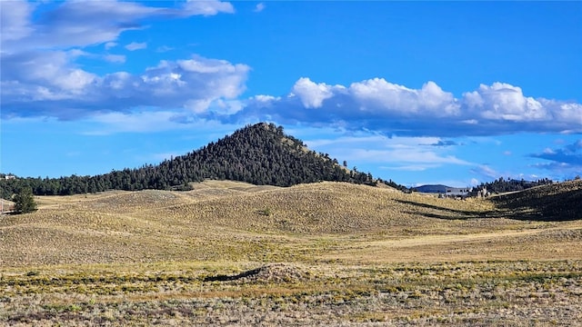 2667 Cahokia Rd, Hartsel, CO 80449 - photo 31