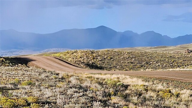 2667 Cahokia Rd, Hartsel, CO 80449 - photo 28