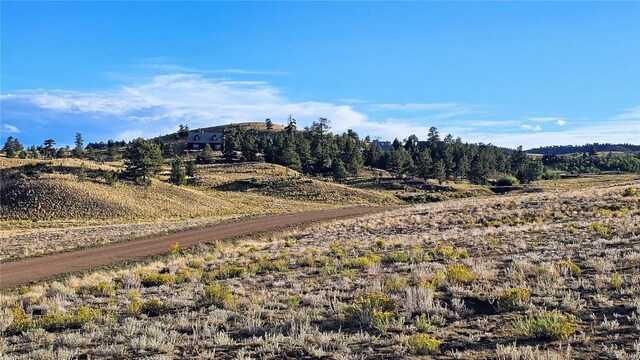 2667 Cahokia Rd, Hartsel, CO 80449 - photo 22