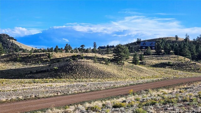 2667 Cahokia Rd, Hartsel, CO 80449 - photo 32