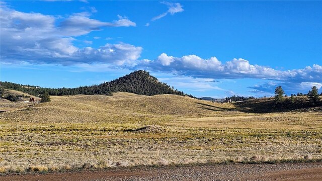 2667 Cahokia Rd, Hartsel, CO 80449 - photo 20