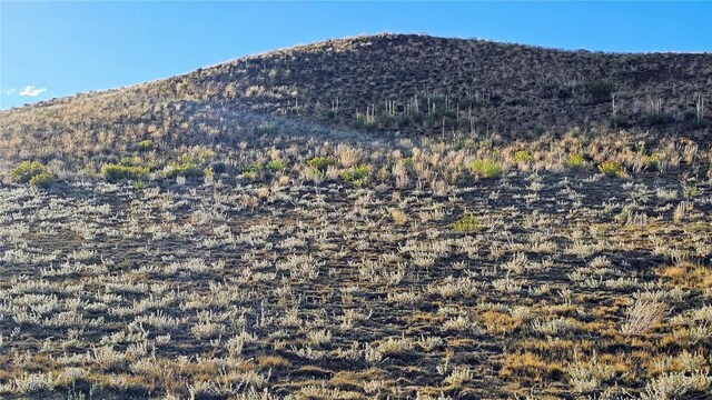 2667 Cahokia Rd, Hartsel, CO 80449 - photo 26