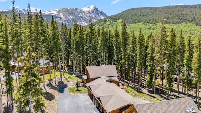 665 Whispering Pines Ln, Breckenridge, CO 80424 - view of mountain backdrop with a forest