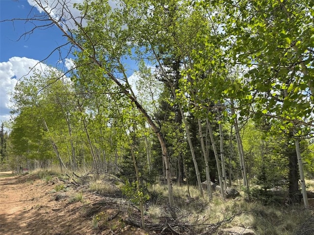 514 Chief Trl, Como, CO 80432