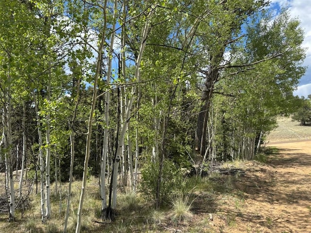 514 Chief Trl, Como, CO 80432