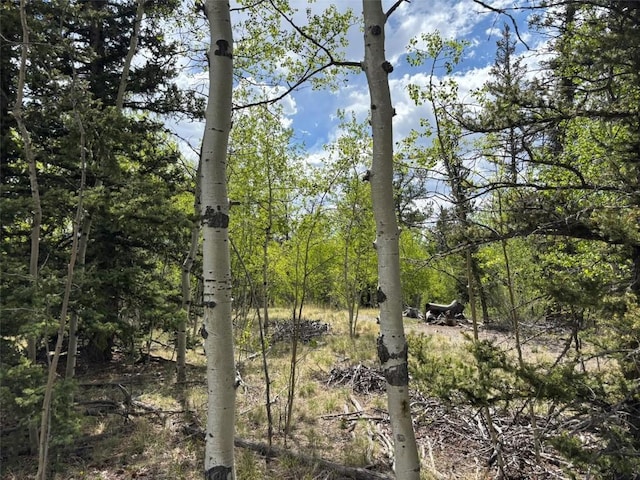 514 Chief Trl, Como, CO 80432