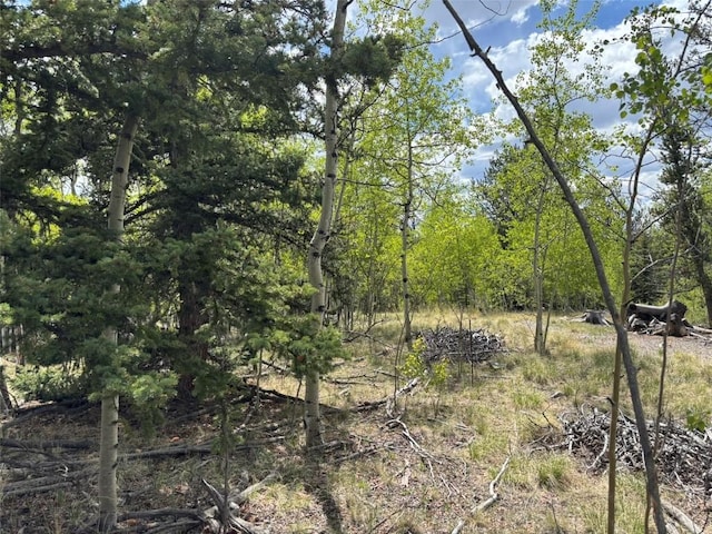514 Chief Trl, Como, CO 80432