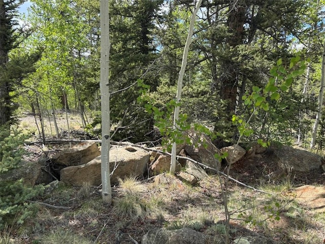514 Chief Trl, Como, CO 80432