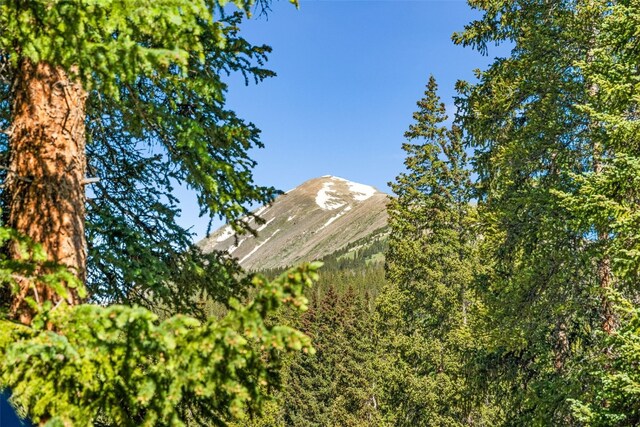 654 County Road 672, Breckenridge, CO 80424 - mountain view