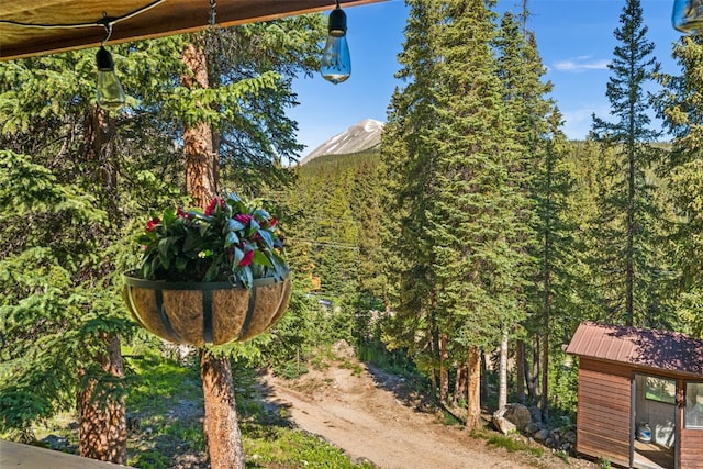 654 County Road 672, Breckenridge, CO 80424 - details featuring a wooded view