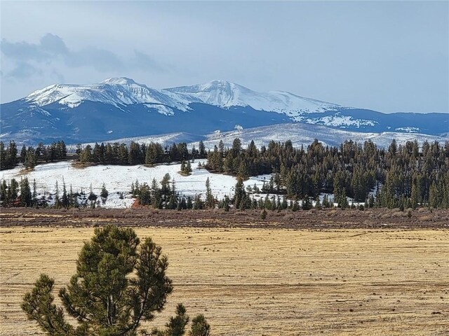167 Arthurs Ct, Fairplay, CO 80440 - photo 34