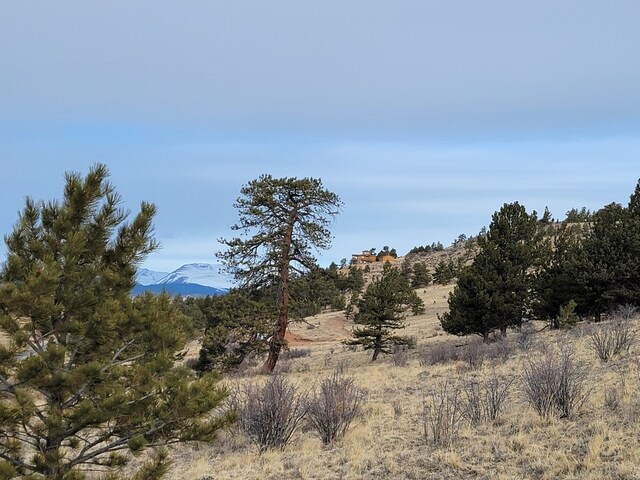 167 Arthurs Ct, Fairplay, CO 80440 - photo 45