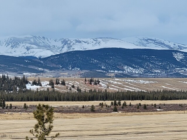 167 Arthurs Ct, Fairplay, CO 80440 - photo 26
