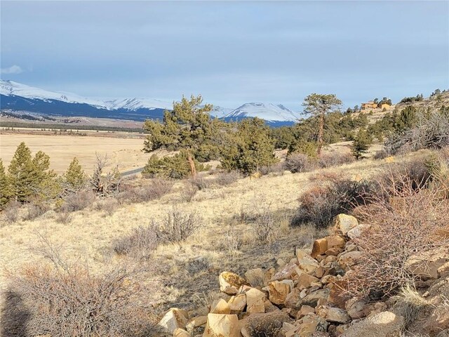 167 Arthurs Ct, Fairplay, CO 80440 - photo 35