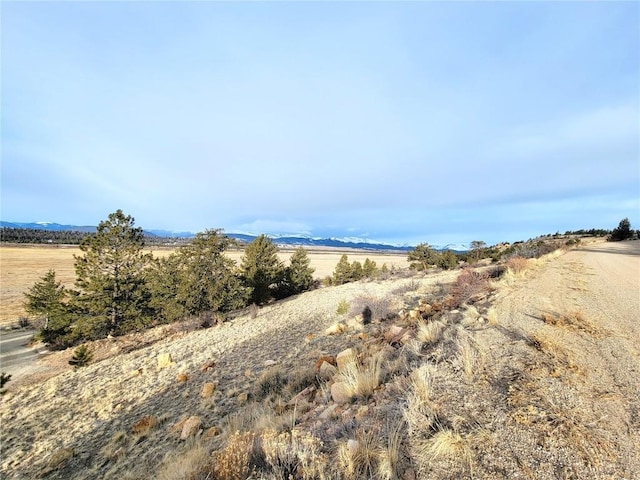 167 Arthurs Ct, Fairplay, CO 80440