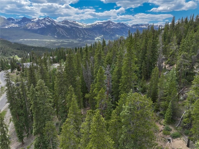 217 Goldenview Dr, Breckenridge, CO 80424 - photo 4