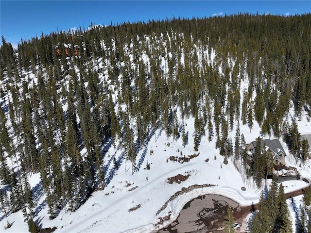 217 Goldenview Dr, Breckenridge, CO 80424 - photo 20