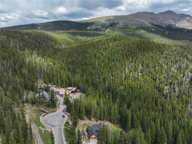 217 Goldenview Dr, Breckenridge, CO 80424 - photo 6