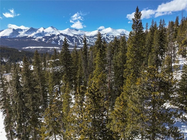 217 Goldenview Dr, Breckenridge, CO 80424 - photo 13