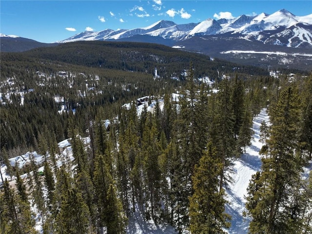 217 Goldenview Dr, Breckenridge, CO 80424 - photo 11