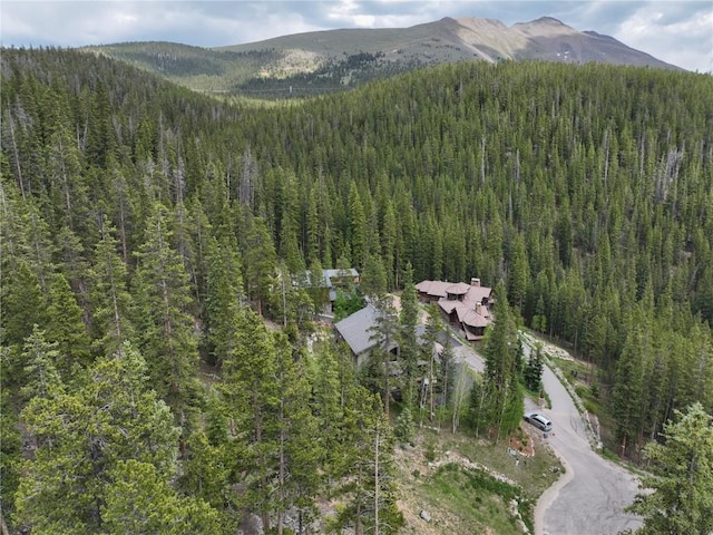 217 Goldenview Dr, Breckenridge, CO 80424 - photo 5