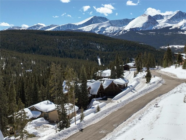 217 Goldenview Dr, Breckenridge, CO 80424 - photo 10