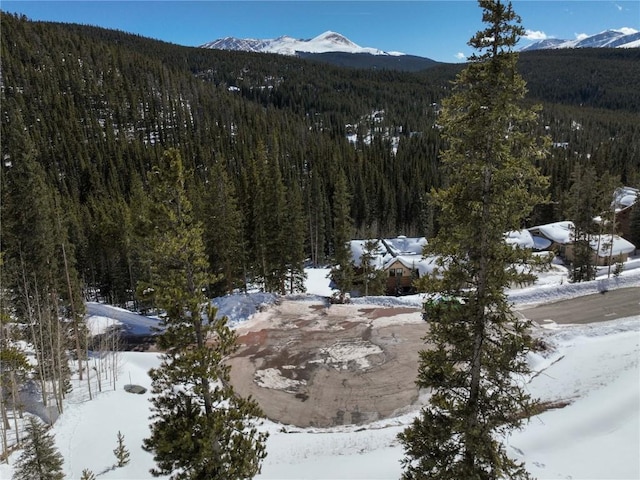 217 Goldenview Dr, Breckenridge, CO 80424 - photo 16