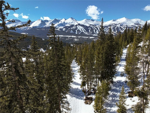 217 Goldenview Dr, Breckenridge, CO 80424 - photo 9