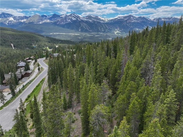 217 Goldenview Dr, Breckenridge, CO 80424 - photo 2