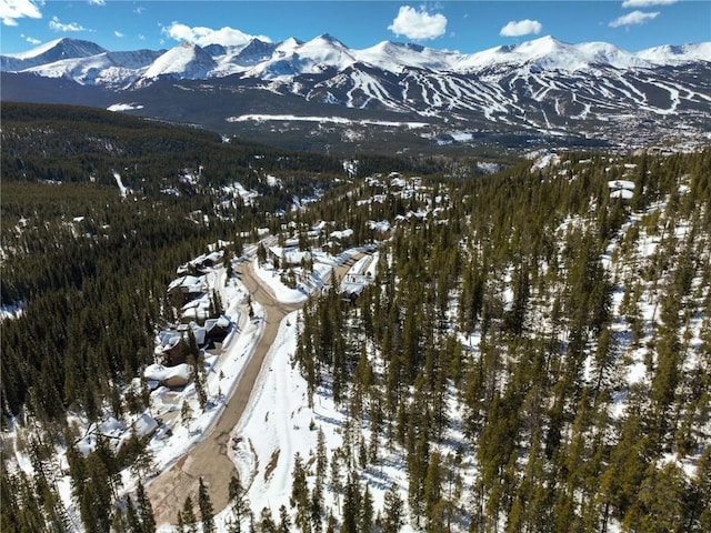 217 Goldenview Dr, Breckenridge, CO 80424 - photo 8