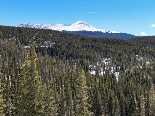 217 Goldenview Dr, Breckenridge, CO 80424 - photo 15