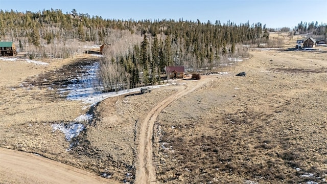 50 Puma Ct, Como, CO 80432 - photo 33