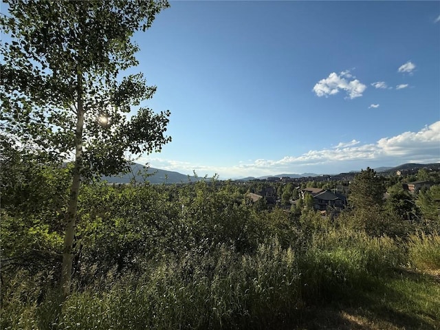 3295 Apres Ski Way Unit A3, Steamboat Springs, CO 80487 - photo 4