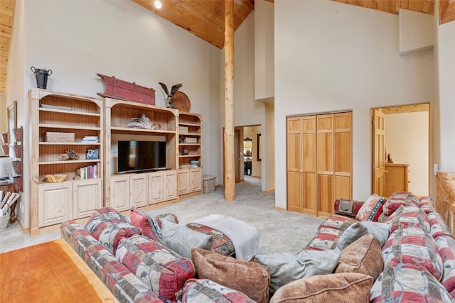 82 Saw Whiskers Cir, Keystone, CO 80435 - photo 41