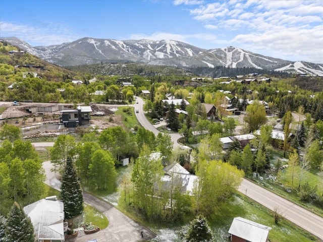 1750 Fish Creek Falls Rd, Steamboat Springs, CO 80487 - view of mountain backdrop