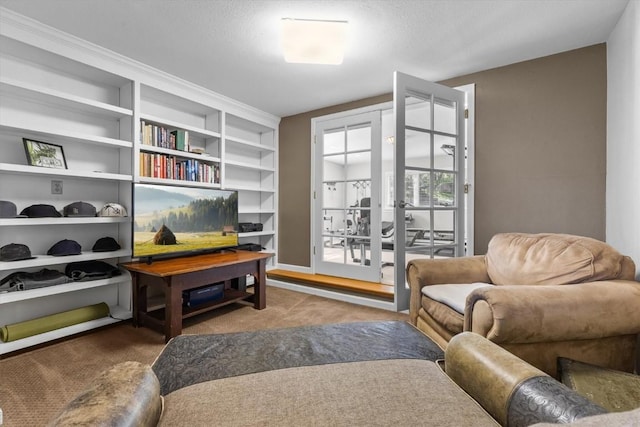 1750 Fish Creek Falls Rd, Steamboat Springs, CO 80487 - living area featuring carpet flooring