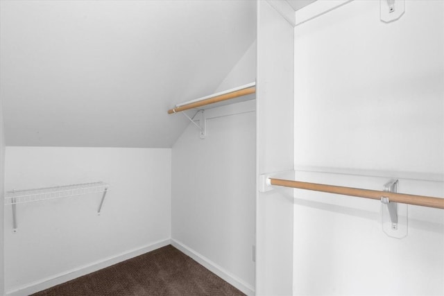 1750 Fish Creek Falls Rd, Steamboat Springs, CO 80487 - walk in closet featuring vaulted ceiling and carpet floors