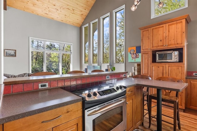 1750 Fish Creek Falls Rd, Steamboat Springs, CO 80487 - kitchen with stainless steel electric range, dark countertops, healthy amount of natural light, light wood-style flooring, and high vaulted ceiling