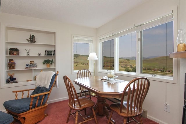 267 Lake Dr Unit 4203, Granby, CO 80446 - photo 7