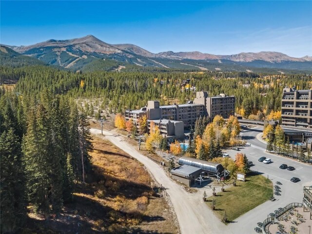 631 Village Rd Unit 36450, Breckenridge, CO 80424 - bird's eye view featuring a forest view and a mountain view