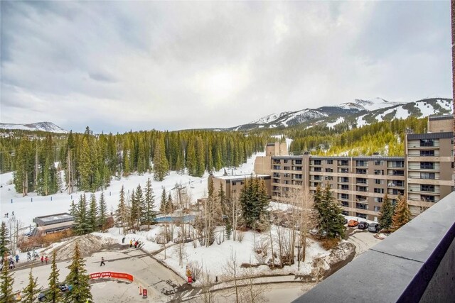 631 Village Rd Unit 36450, Breckenridge, CO 80424 - water view featuring a mountain view