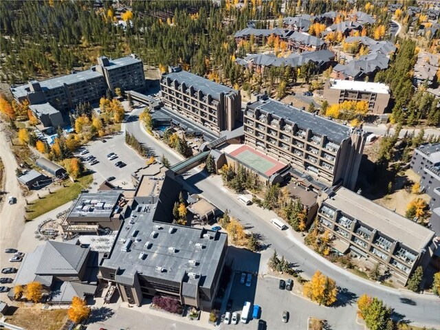 631 Village Rd Unit 36450, Breckenridge, CO 80424 - bird's eye view